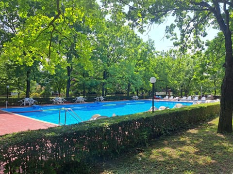 Garden, Pool view, Swimming pool, sunbed