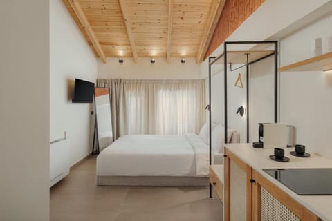 Bed, TV and multimedia, Kitchen or kitchenette, Bedroom