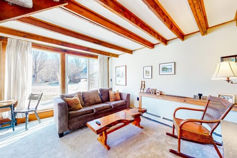 Cozy Mountain Getaway Apartment in Proctorsville