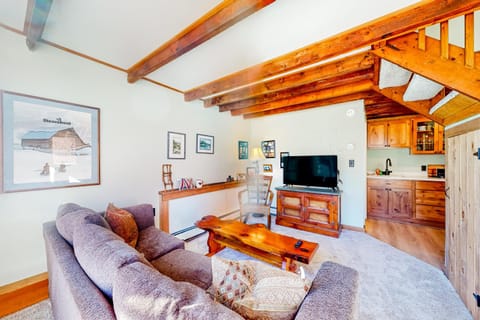 Cozy Mountain Getaway Apartment in Proctorsville