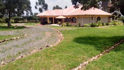 Natural landscape, Garden, Garden view