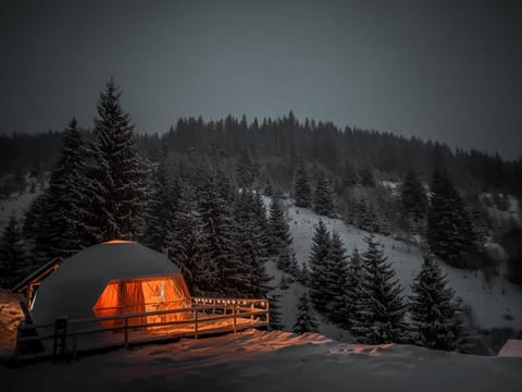 Property building, Natural landscape, Winter, Mountain view