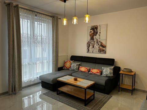 Apartament Moderato Apartment in Pomeranian Voivodeship