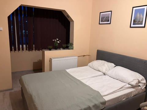 Robert room 18 Apartment in Timiș County