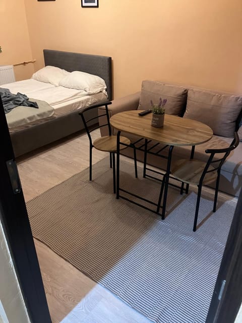 Robert room 18 Apartment in Timiș County