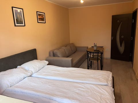 Robert room 18 Apartment in Timiș County