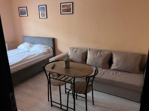 Robert room 18 Apartment in Timiș County