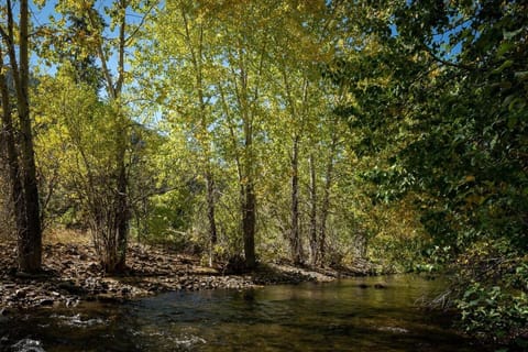 Creek Front Duplex Close to Lifts with Hot Tub House in Ketchum