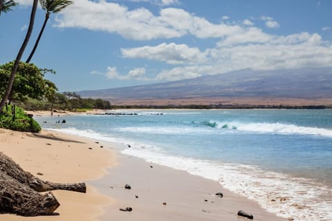 Hono Kai B17 Apartment in Maalaea