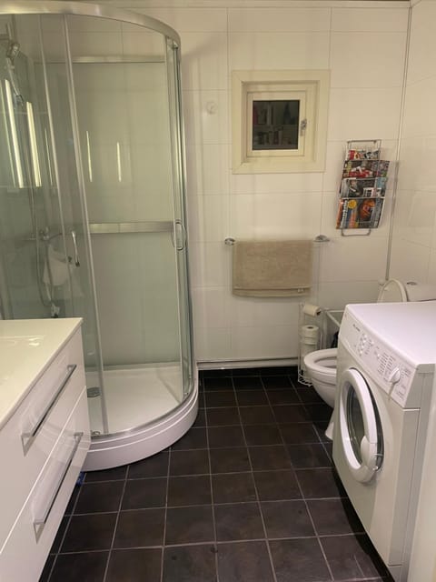 Shower, Toilet, Bathroom, washing machine