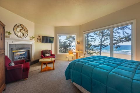 TV and multimedia, Seating area, Bedroom, Sea view, fireplace
