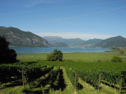 Le Case del Patio Homes, cosy, functional and with swimming pool House in Iseo