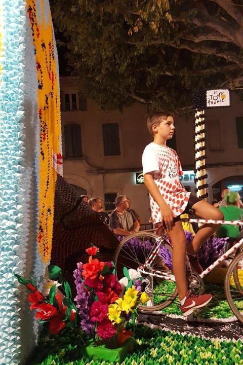 Les Lavandins Villa in Provence-Alpes-Côte d'Azur