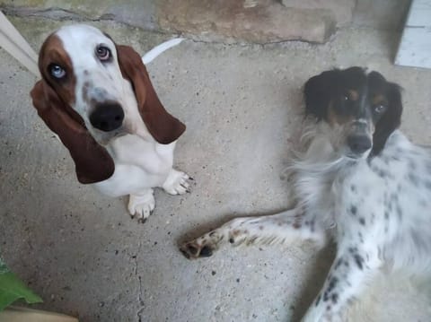 studio 2 spacieux 1à4 pers Apartment in Jura