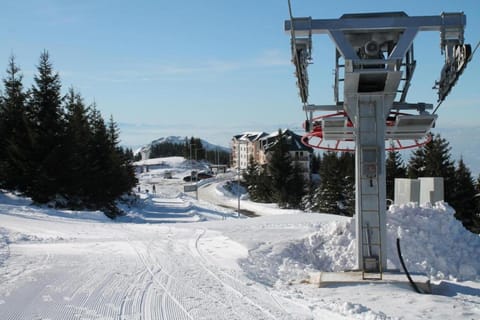 Winter, Skiing