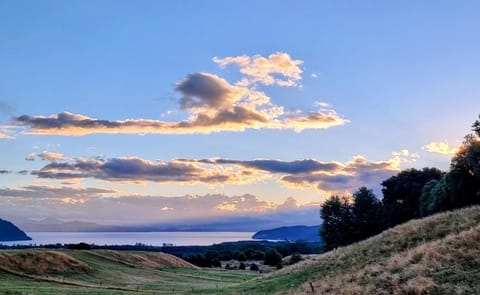 Lake view
