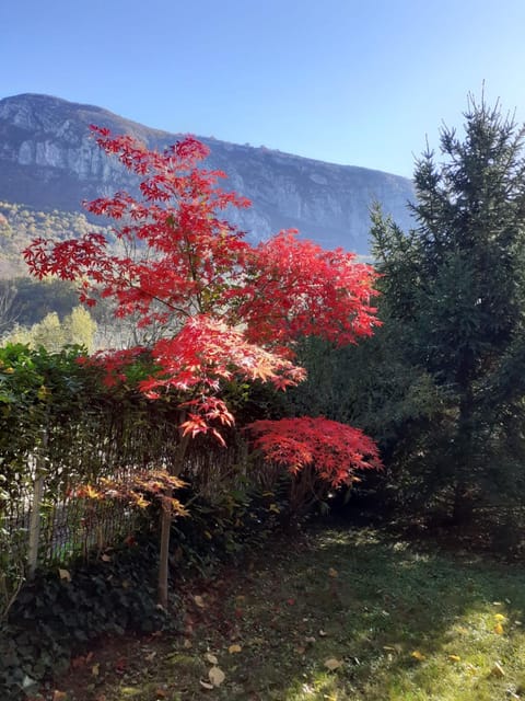 Pensiune Safrane Bed and Breakfast in Serbia