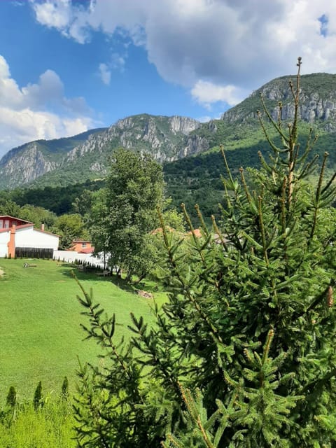 Pensiune Safrane Bed and Breakfast in Serbia