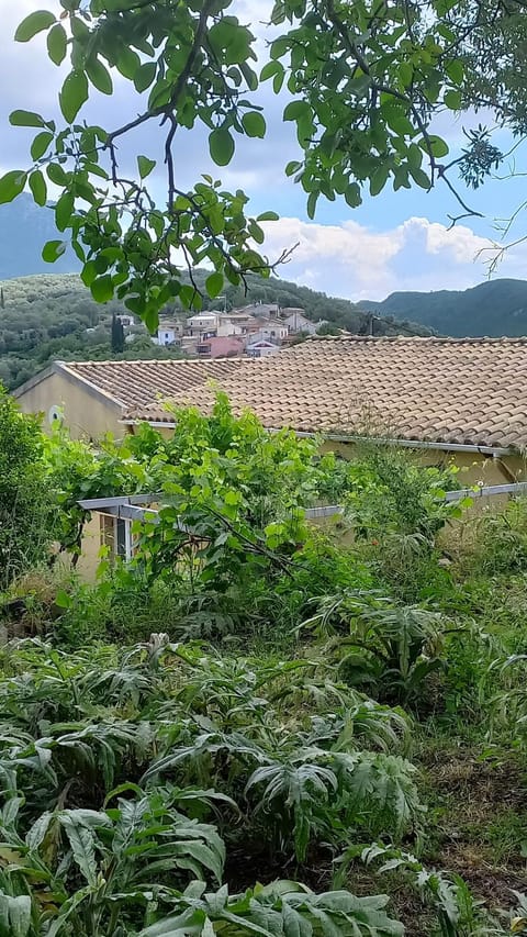 Garden, Mountain view