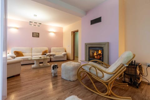Living room, Seating area, flat iron