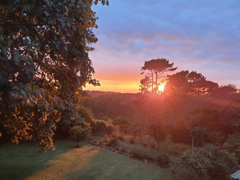 Natural landscape, Sunrise