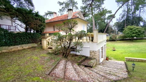 Property building, Garden view