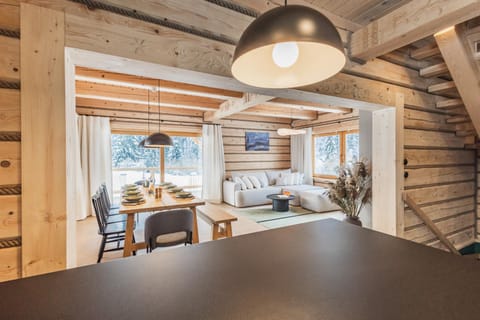 Kitchen or kitchenette, Living room, Seating area, Dining area