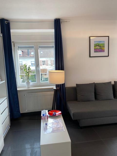 Preiswertes stilvolles Zimmer im privaten Haus mit großem schönem modernem Gemeinschaft Badenzimmer Apartment in Lörrach