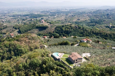 Spring, Bird's eye view, Summer, Autumn, City view, Garden view, Mountain view, Pool view, Street view, Seasons