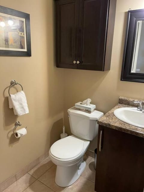 Cozy 2 bedroom home in Chatham - left side Apartment in Chatham-Kent
