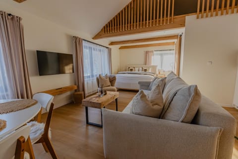 Communal lounge/ TV room, Bed, TV and multimedia, Living room, Photo of the whole room, Seating area, Evening entertainment, Bedroom