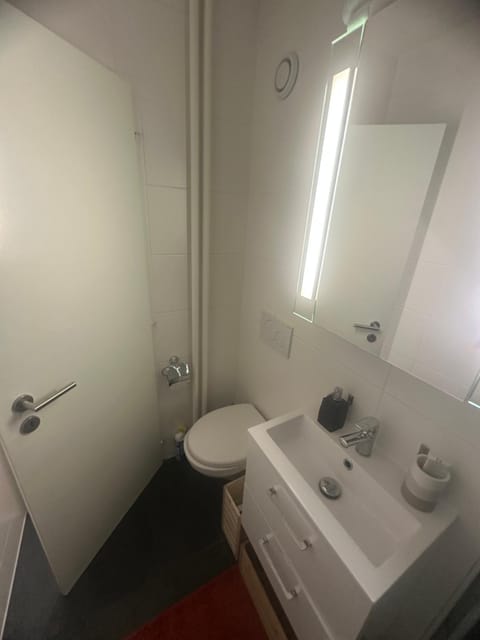 Magnificent apartment, Geneva Center, Geneva Lake Apartment in Geneva