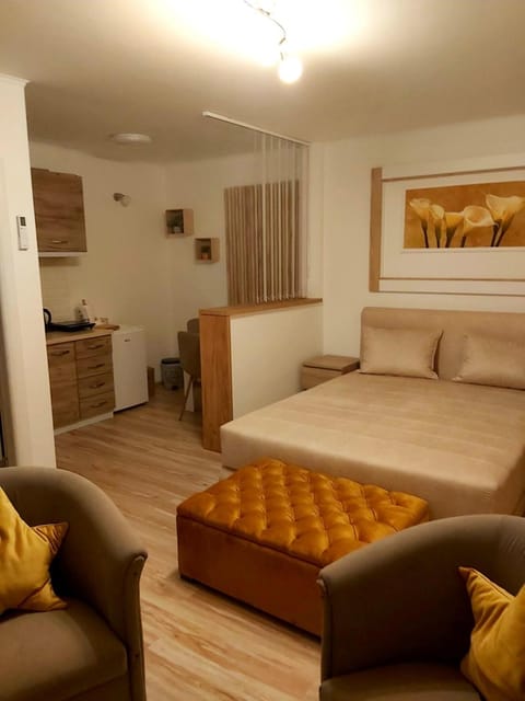 Kličković Apartment in Vojvodina