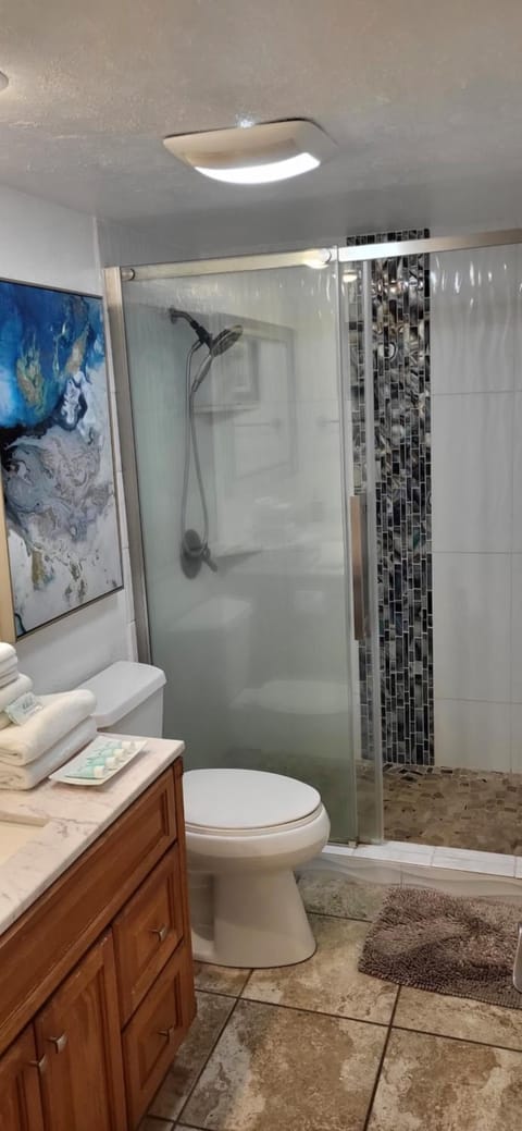 Toilet, Bathroom, towels