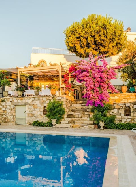 Property building, Spring, Day, Garden, Pool view
