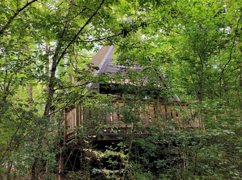 Property building, Summer, Area and facilities