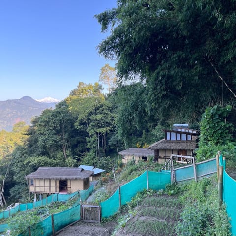 Mountain view