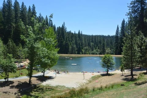 A Cruz in the Woods House in Arnold