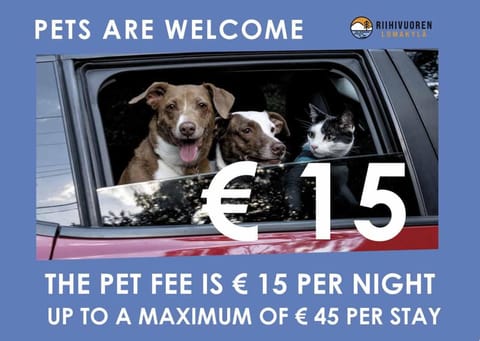 Animals, Pets, Pets, pet friendly, pet friendly