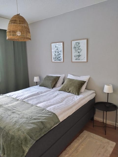 Tilava kt Kaksio Apartment in Finland