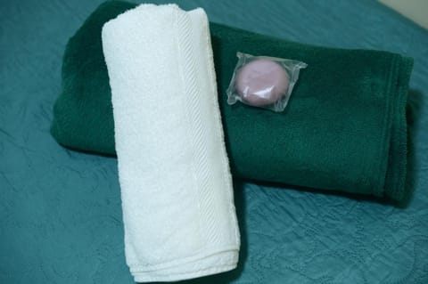 Espaço Nilci Costa Bed and Breakfast in Angra dos Reis