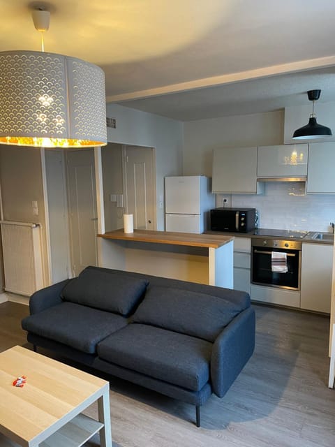 magnifique Duplex avec 2 chambres et parking gratuit Apartment in Grenoble