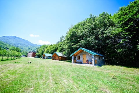 Natural landscape