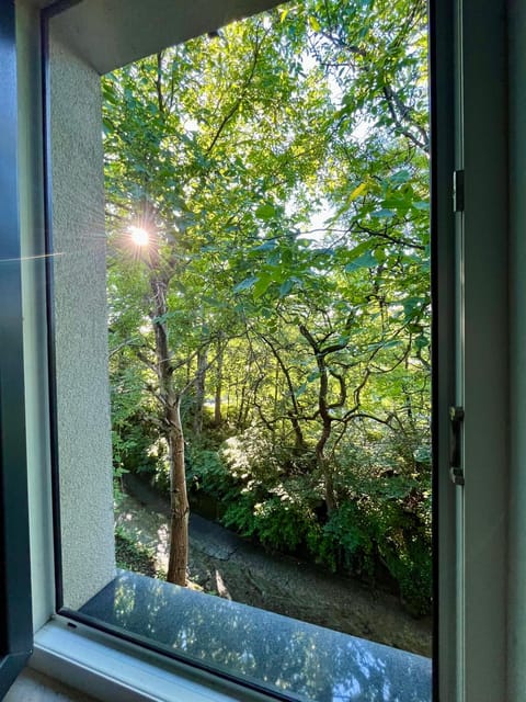 Natural landscape, Bedroom, Garden view