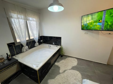 Hot Tub, TV and multimedia