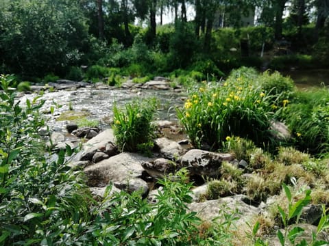 Property building, Day, Neighbourhood, Natural landscape, Summer, Garden, Beach, On site