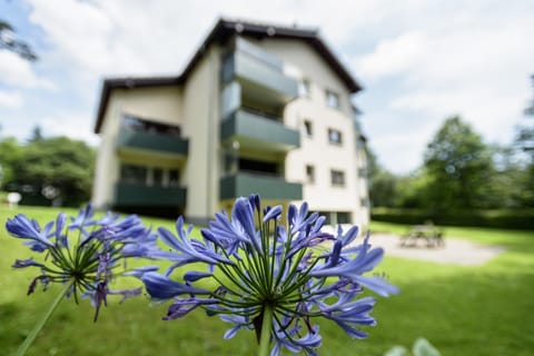 Property building, Spring, Day, Natural landscape, Garden, Garden view