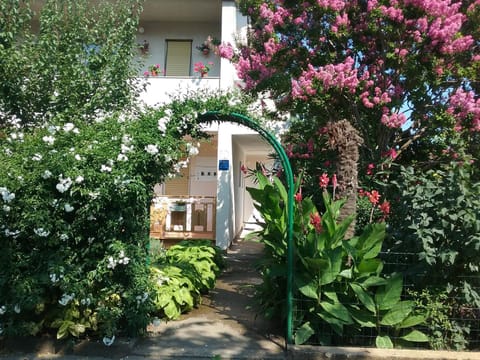 Property building, Facade/entrance, View (from property/room)