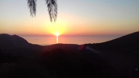 Garden view, Sea view