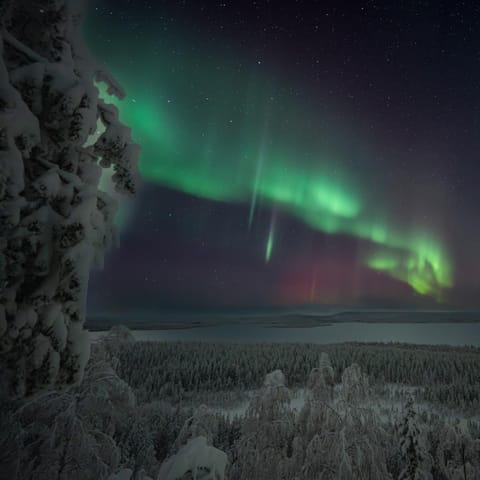 Coloria - kotisi Rovaniemellä, luonnollisesti Villa in Rovaniemi